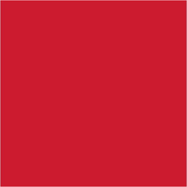 Seidenpapier, 50x70 cm, 14 g, Rot, 10 Bl./ 1 Pck – Bild 3