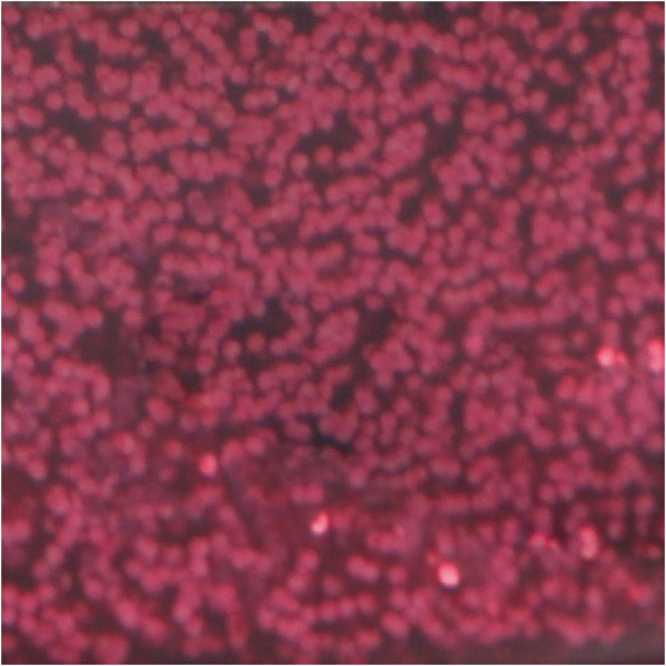 Glitzerkleber, Pink, 25 ml/ 1 Fl. – Bild 2