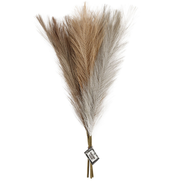 Pampasgras, L 50 cm, Hellbeige, Hellbraun, Hellgrau, 3 Stk/ 1 Bündl. – Bild 2