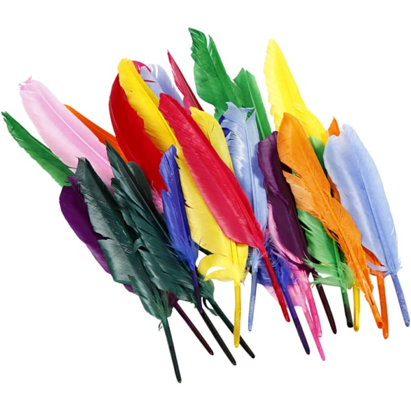 Federn, L 17-20 cm, 250 Stk/ 1 Pck – Bild 2