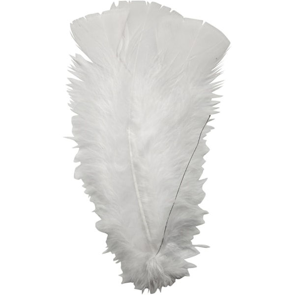 Federn, L 11-17 cm, Weiß, 18 Bündl./ 1 Pck – Bild 5