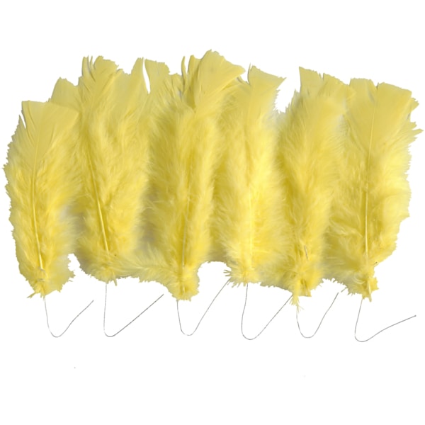 Federn, L 11-17 cm, Gelb, 18 Bündl./ 1 Pck – Bild 4