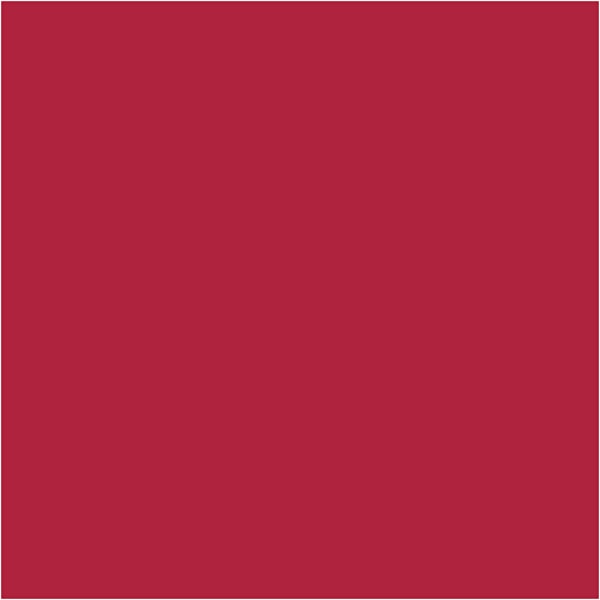 Outdoor-Farbe, Rot, 250 ml/ 1 Fl. – Bild 2
