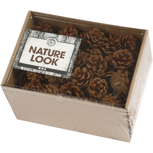 Kiefernzapfen, D 40 mm, 500 g/ 1 Pck – Bild 2