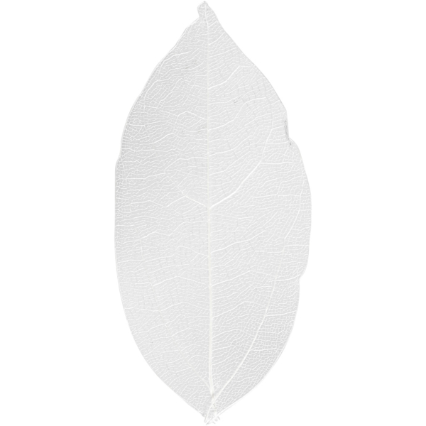 Laubblätter, L 6-8 cm, Weiß, 20 Stk/ 1 Pck