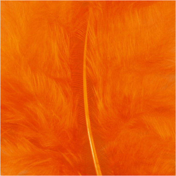 Daunen, Größe 5-12 cm, Orange, 15 Stk/ 1 Pck – Bild 3