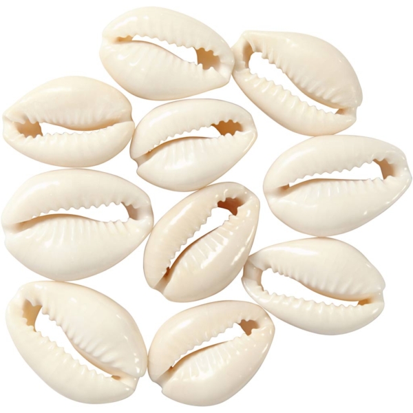 Muschelperlen, L 20 mm, Natur, 12 Stk/ 1 Pck – Bild 3