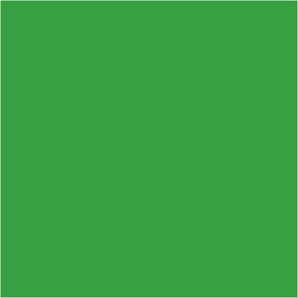 Pigment Art School-Farbe, Mattglänzend, Deckend, Mediumgrün, 500 ml/ 1 Fl. – Bild 2