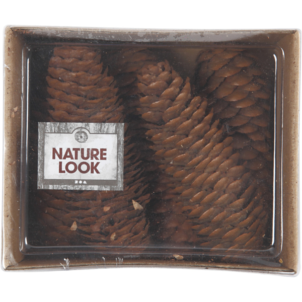 Tannenzapfen, D 40 mm, 100 g/ 1 Pck – Bild 2
