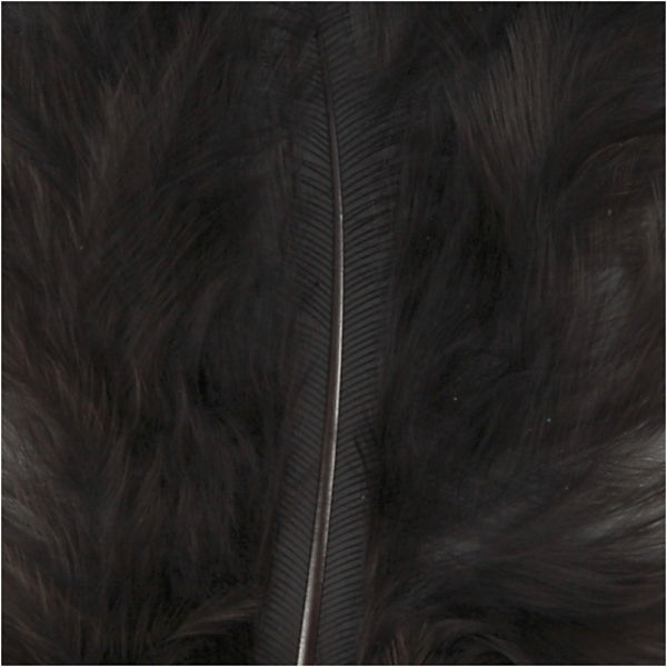 Daunen, Größe 5-12 cm, Schwarz, 15 Stk/ 1 Pck – Bild 3