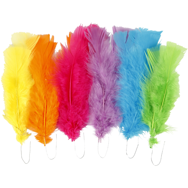 Federn, L 11-17 cm, Sortierte Farben, 18 Bündl./ 1 Pck – Bild 3