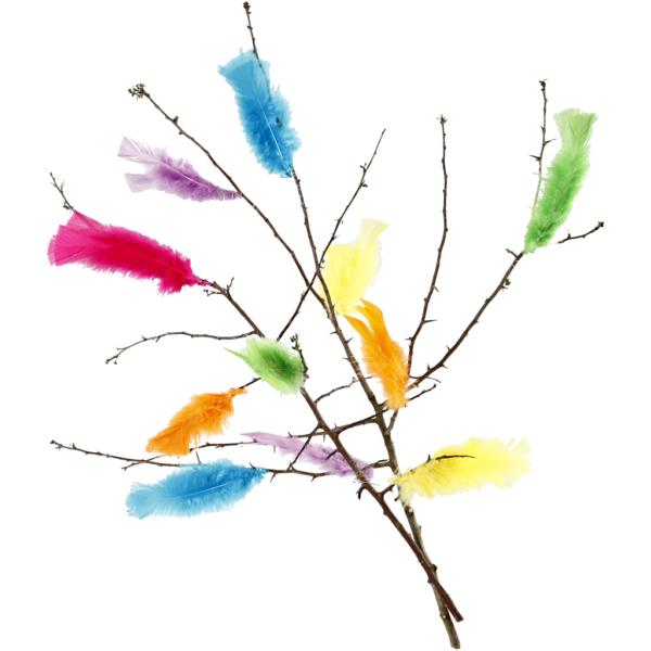 Federn, L 11-17 cm, Sortierte Farben, 18 Bündl./ 1 Pck – Bild 6