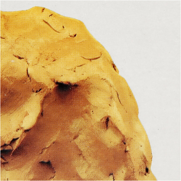 Selbsthärtender Ton, Ockergelb, 12x1000 g/ 1 Pck – Bild 3