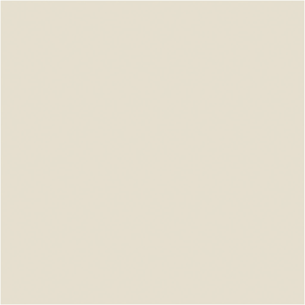 PRIMO Acrylfarbe in ausgezeichneter Qualität, Beige, 125 ml/ 1 Fl. – Bild 2
